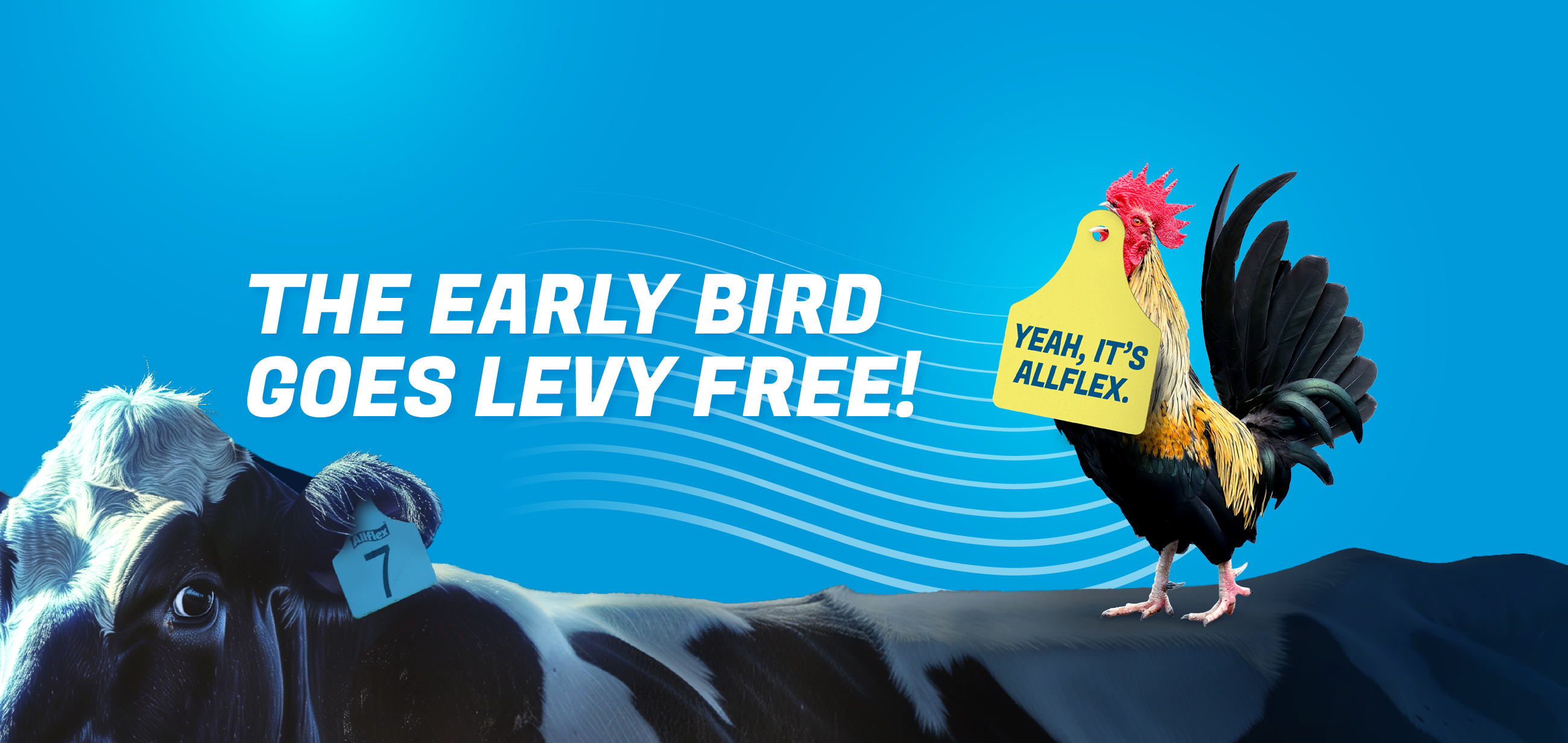 Early Bird Promotion